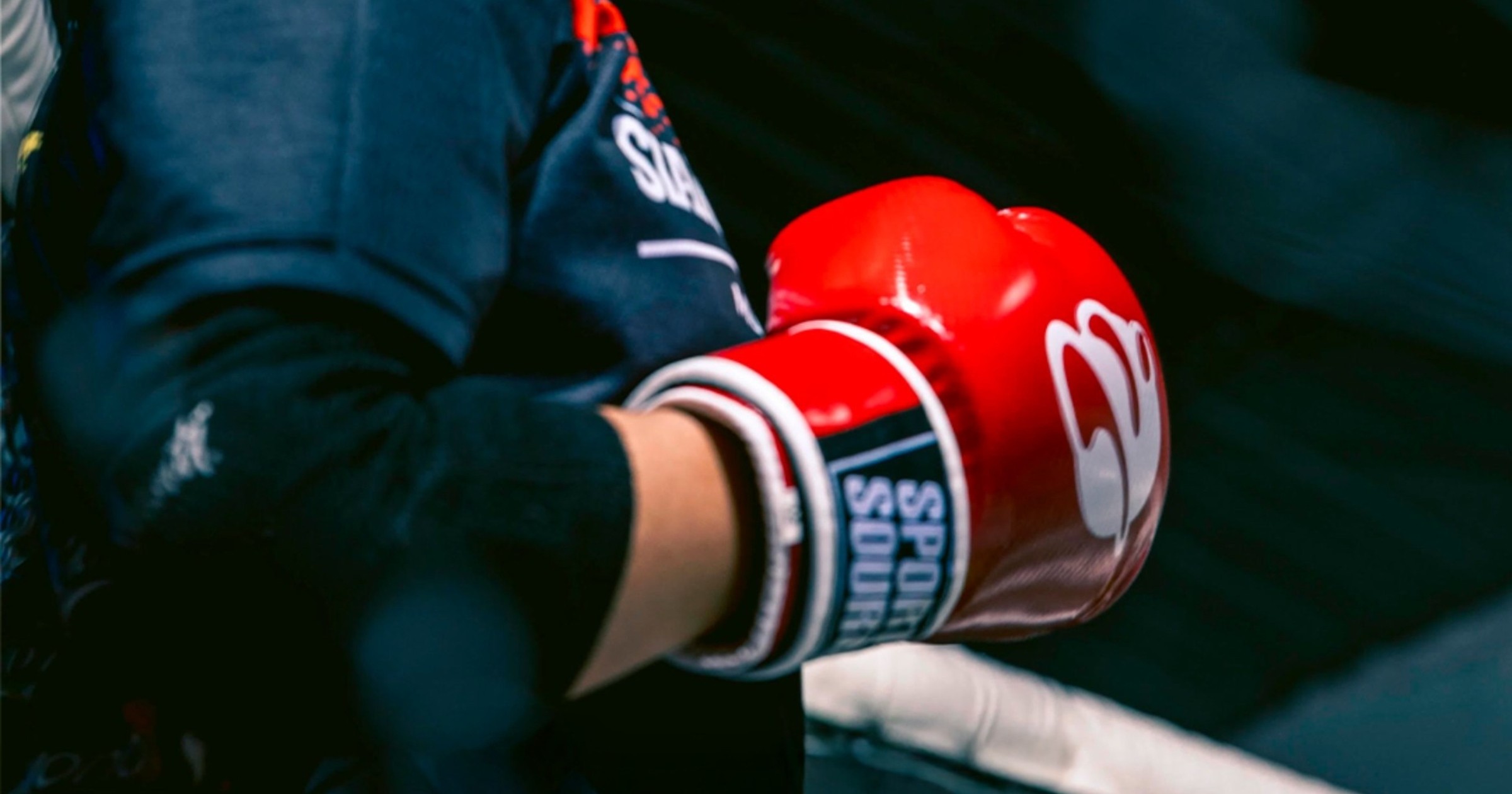 Boxeo