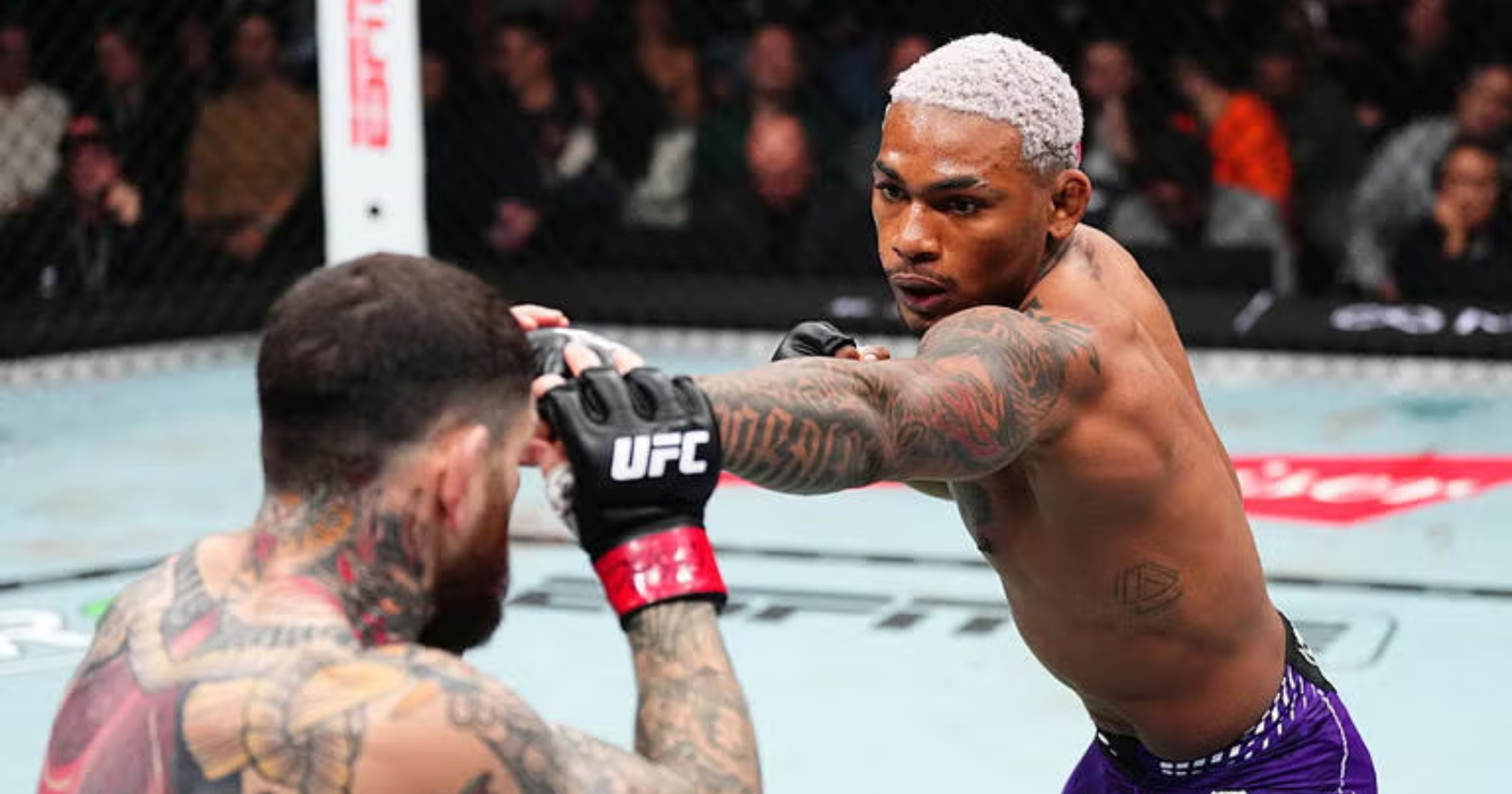 MMA